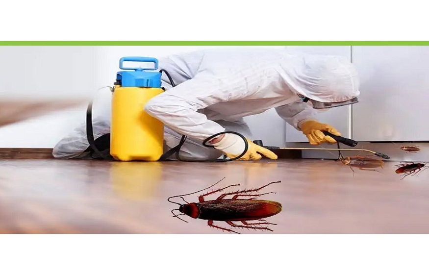 pest control service