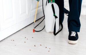 pest control
