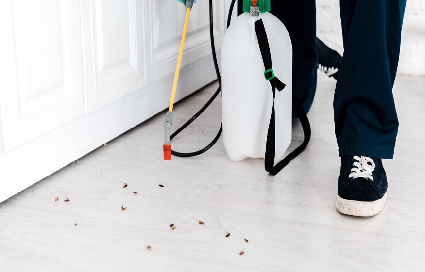 pest control