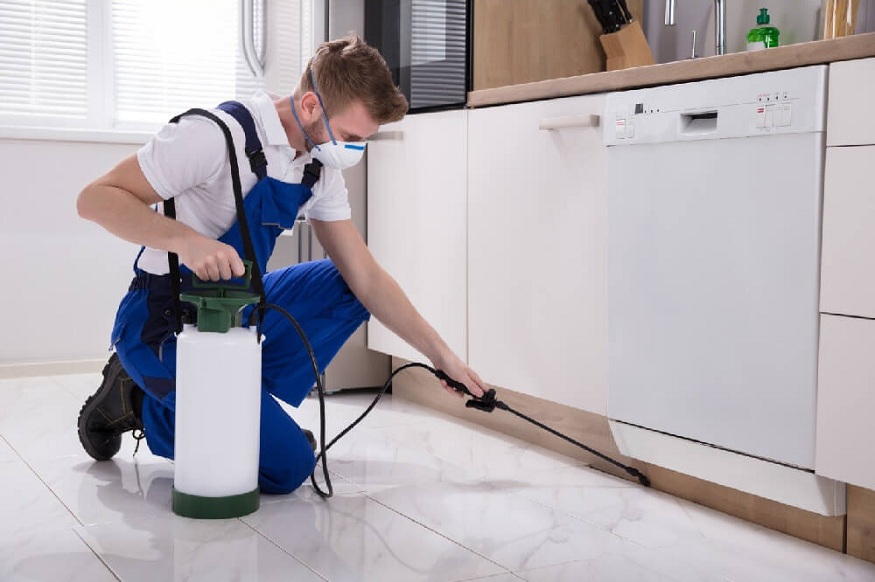 pest control company in Arlington
