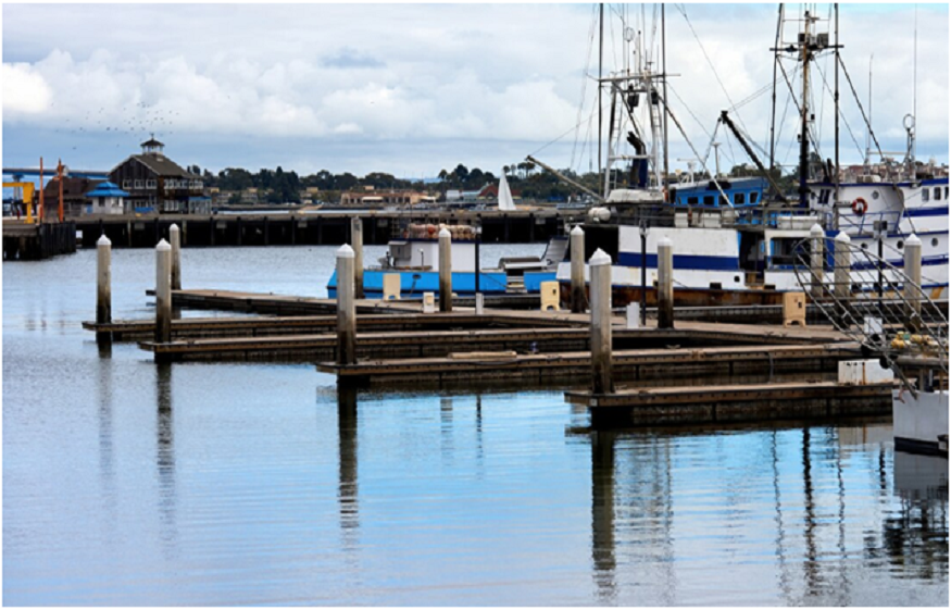 floating dock services Miami